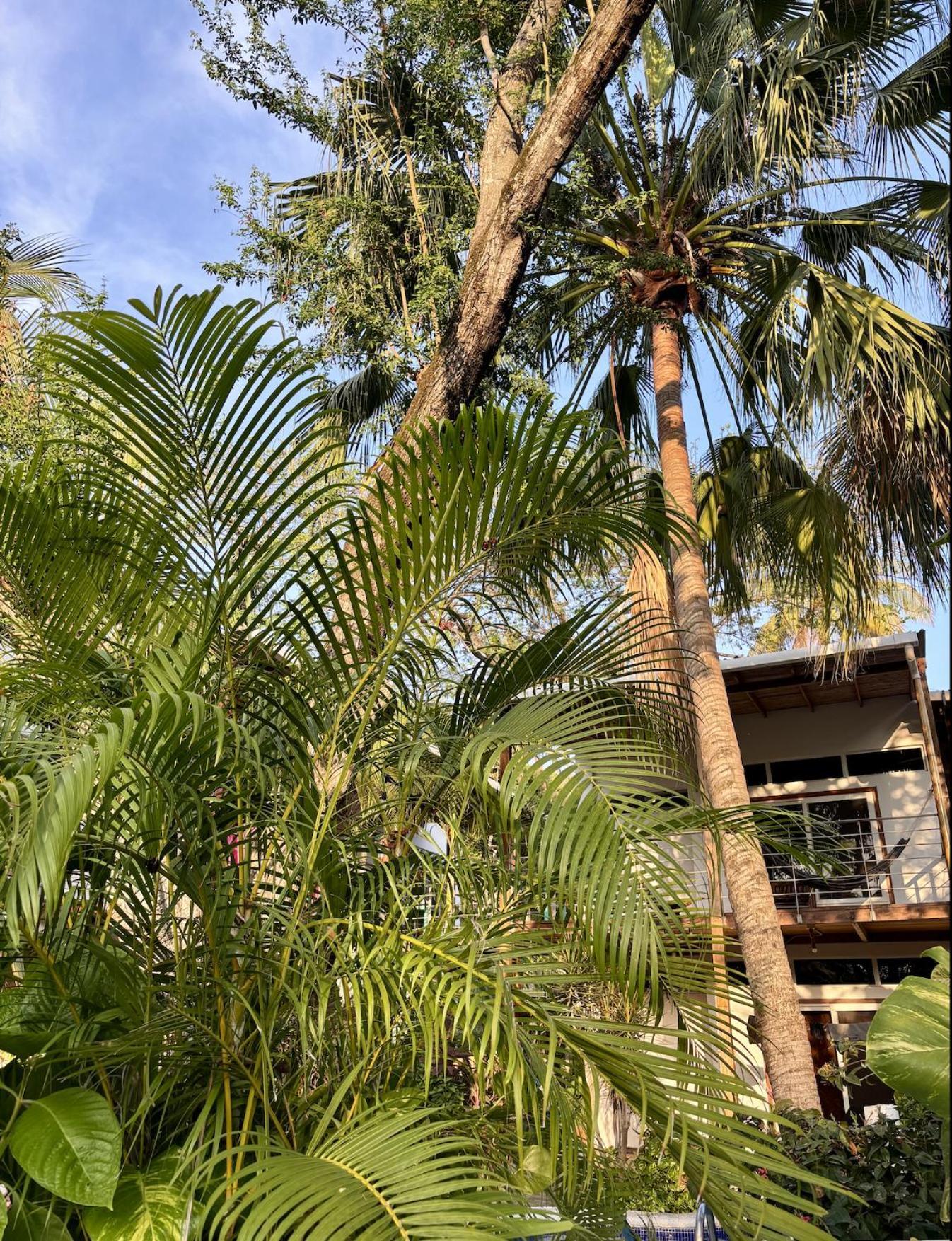 Villa Eco Del Mar La Libertad Exterior foto